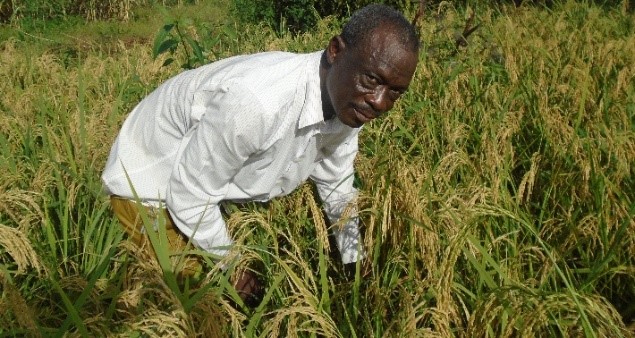 Lassane Marc Ouedrago een van de rijstproducten aangesloten bij UPPRS