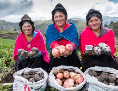 Potato producers from the Andes