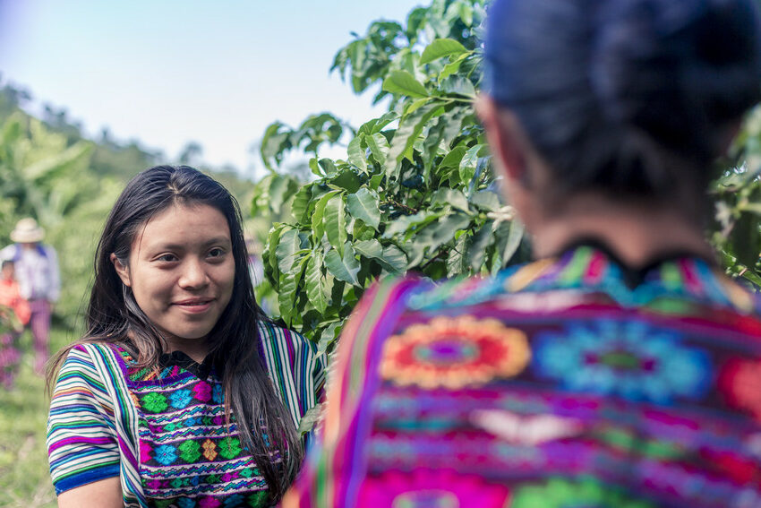 Guatemalteekse vrouwen die ngo Trias versterkt