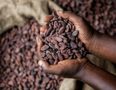 Person holding cocoa beans in the shape of a heart