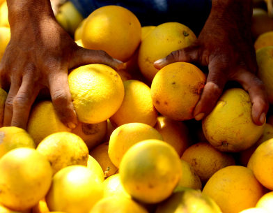 Sinaasappels op een markt