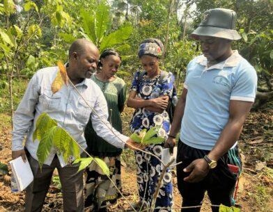 Bezoek aan cacaovelden bij COOPEBAS