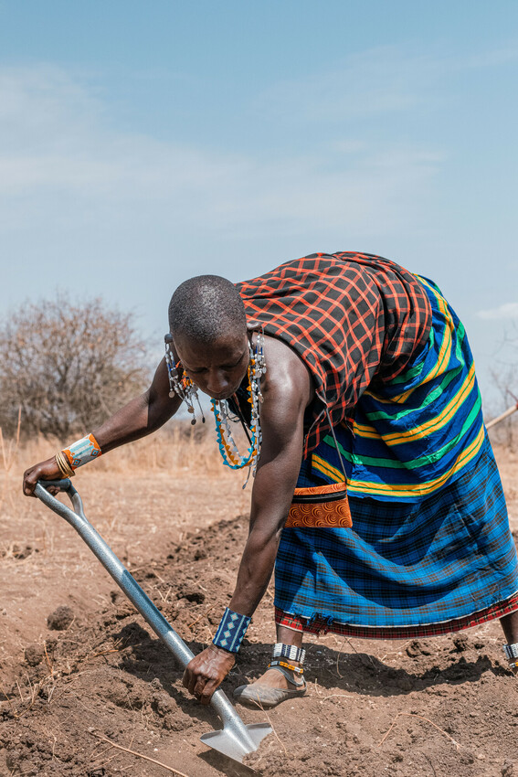 Tanzaniaanse landbouwers van PWC graven waterdammen