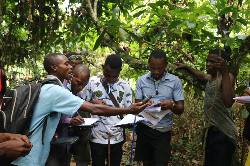 Congolese cacaotelers brengen hun cacaovelden in kaart