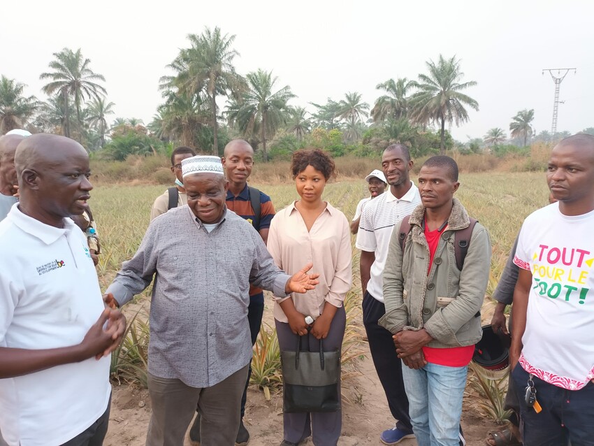 Bezoek op het ananasveld dat jonge ondernemers beheren