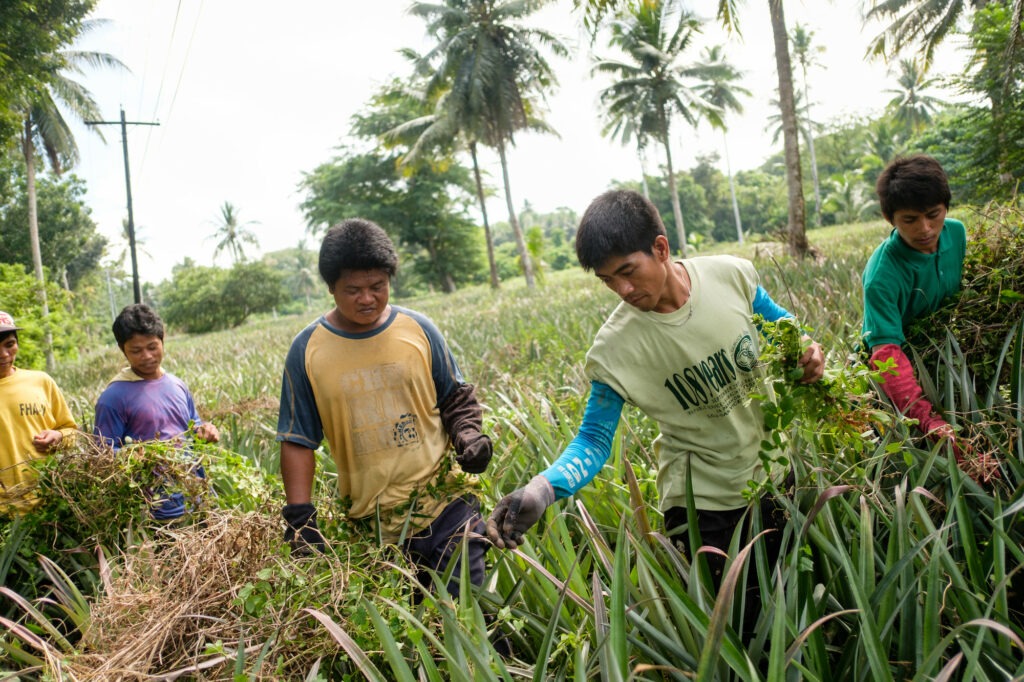 Farmers at work in the Philippines 