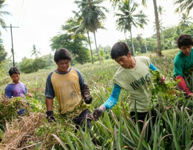 Farmers at work in the Philippines