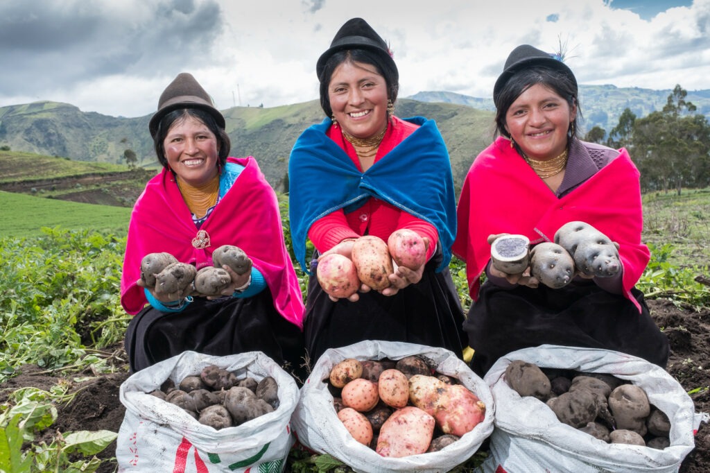 Potato farmers from the Andes