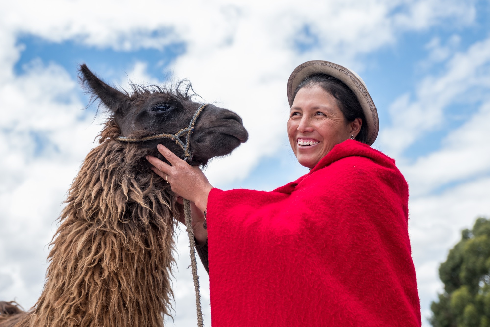Farmer with lama