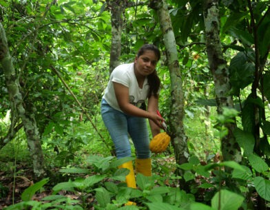 Female cocoa producer from Ecuador